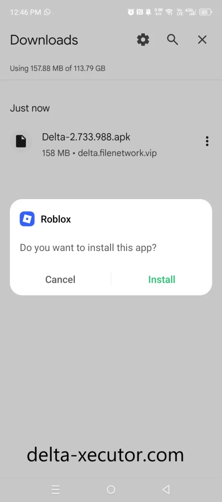 Delta Executor installation screen