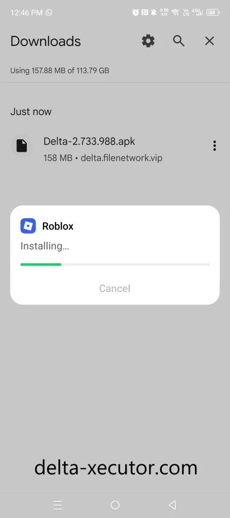 Installing Delta Executor
