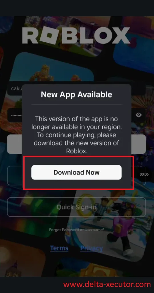 Delta Executor 34 Update Roblox VN to the latest version